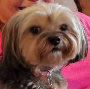 Meet your Posher, Beverly